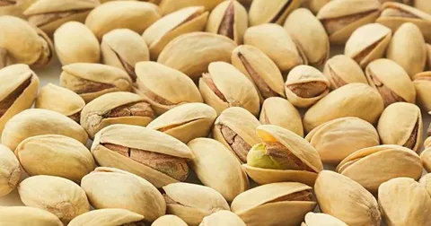تصویر 1 از خرید پسته زعفرانی گلستان + قیمت فروش استثنایی
